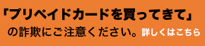 プリペイドカード詐欺